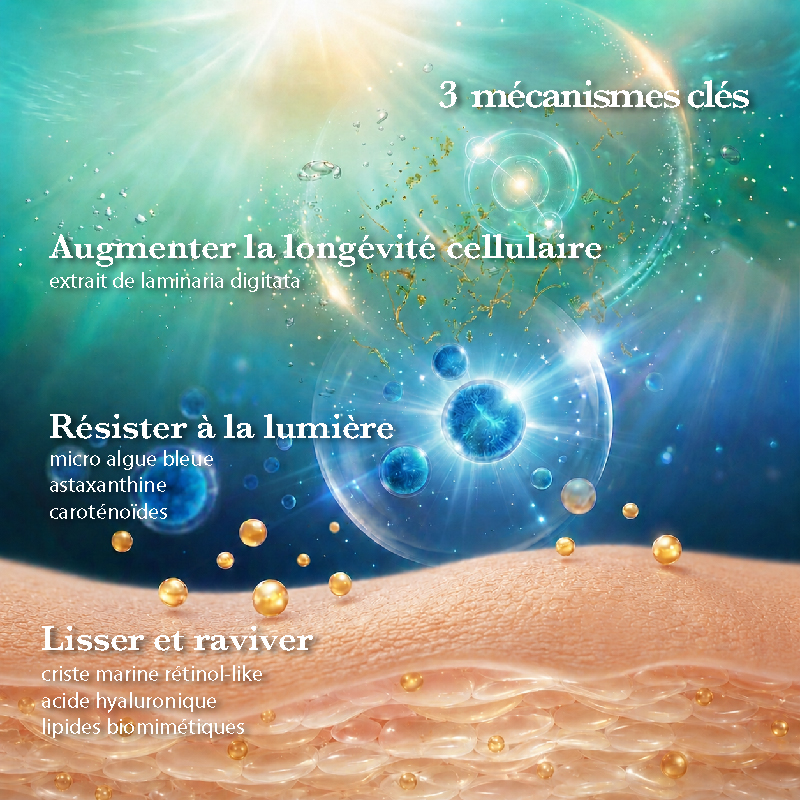 Lumière diffuse dans un univers marin, particules dorées au-dessus d’une peau dense et ferme, évoquant éclat et protection