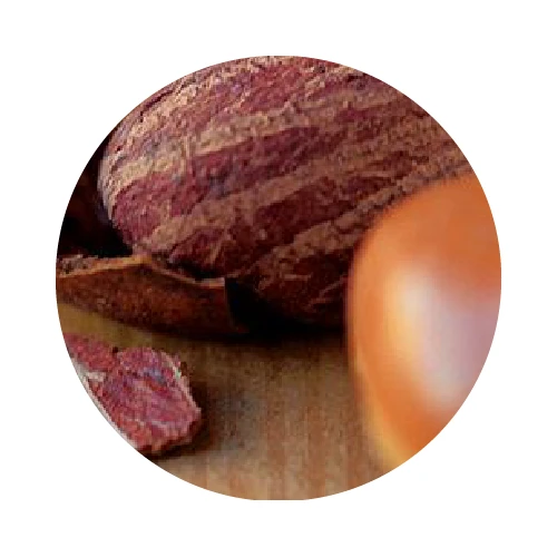 BEURRE DE KARITÉ bio