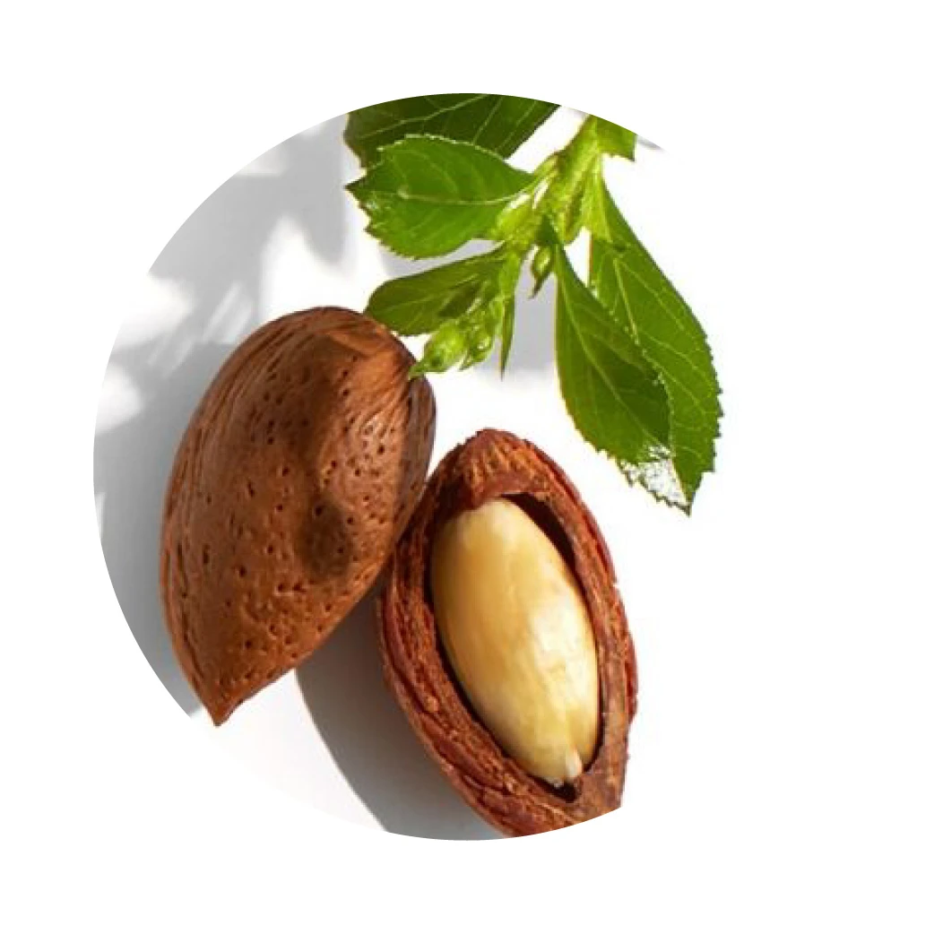 HUILE DE JOJOBA bio 