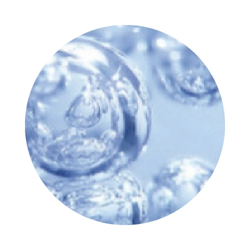 ACIDE HYALURONIQUE (à très faible poids moléculaire)