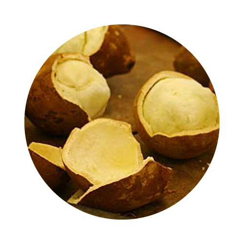 BEURRE DE CUPUAÇU bio