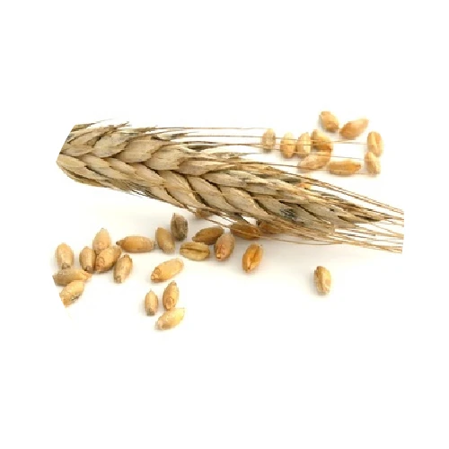 CÉRAMIDES VÉGÉTALES (extraites du blé)