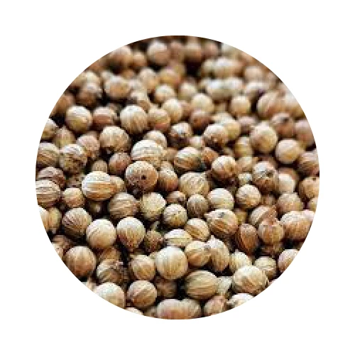 EXTRAIT AROMATIQUE (HYDROLAT) DE CORIANDRE