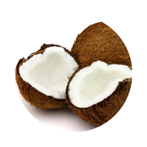 HUILE DE COCO bio